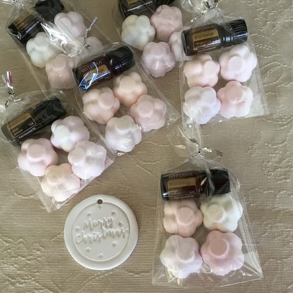 essential oil and shower melts sampler Christmas gifts