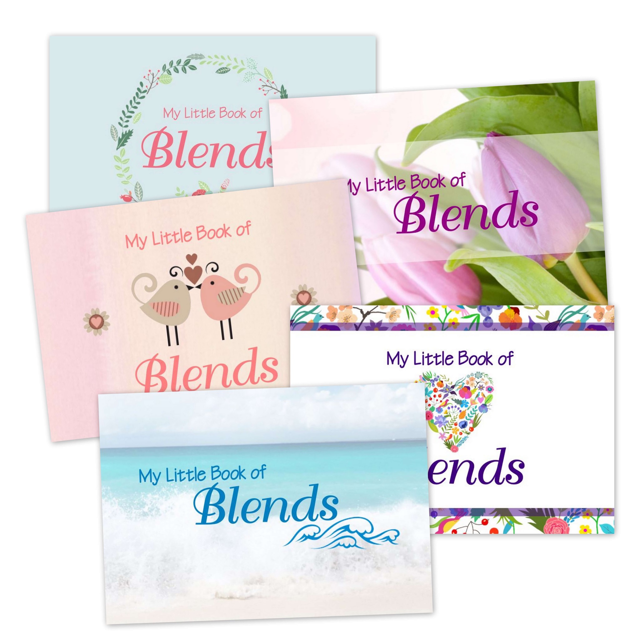 My Little Book of Blends – Pack of 5